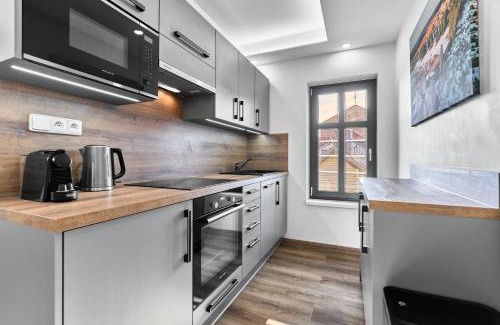 Abertamy Apartamento | Plešivec View by Mountain ways