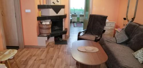 Rokytnice v Orlickych Horach Apartamento | Plně vybavený 2+1byt s balkonem a kójí pro kola a lyže.