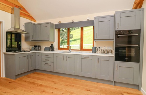 Bleddfa Cabaña | PLOONY HILL CABIN, pet friendly, with hot tub in Knighton