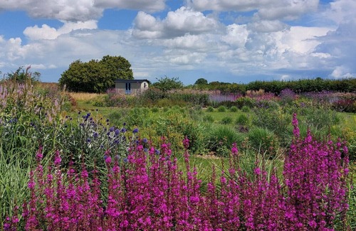 Yoxford Casa | Plough Cottage - Dos Habitaciones Casa, Capacidad 4