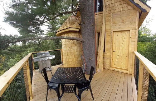 Harrington Cabina | Plus haute cabane dans les arbres en Amérique du Nord - Harrington, Canada