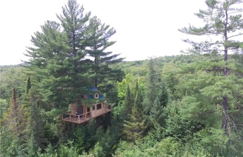 Harrington Cabina | Plus haute cabane dans les arbres en Amérique du Nord - Harrington, Canada
