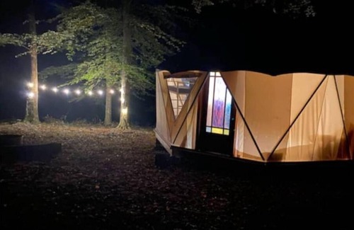 Monticello Casa | Plush Yome Tucked in the Woods