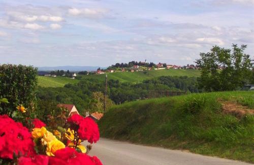 Ormoz Casa | POČITNIŠKA HIŠA KOG