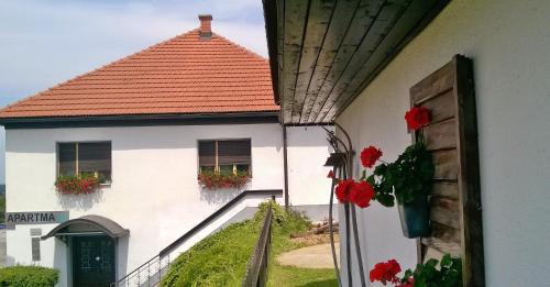 Ormoz Casa | POČITNIŠKA HIŠA KOG