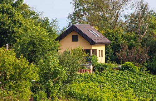Lendava Apartamento | Počitniška hiška pod Hadikom
