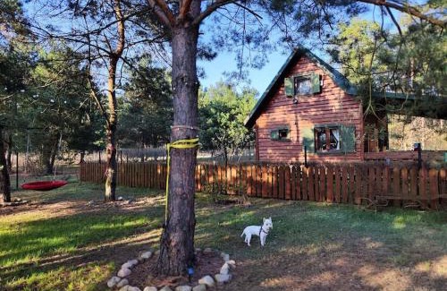 gmina Joniec Casa | Pożarowo domek na mazowszu