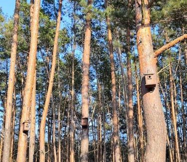 gmina Joniec Casa | Pożarowo domek na mazowszu