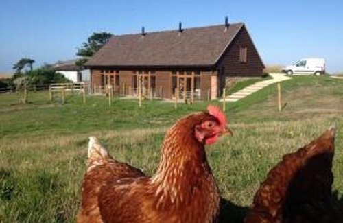 Shorwell Casa | Poachers Hut - Captivating 1-bed Cottage Shorwell