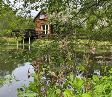 Cisna Casa | Pod dobrym adresem- domek nad stawem