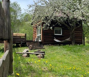 Cisna Casa | Pod dobrym adresem- domek nad stawem