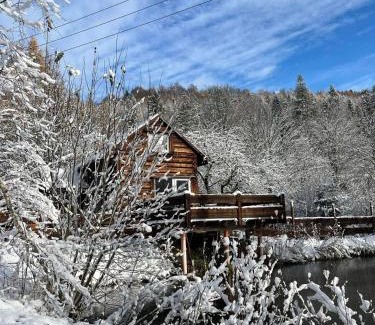 Cisna Casa | Pod dobrym adresem- domek nad stawem