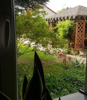 Checiny Casa | Pod srebrną różą