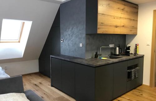 Bela pod Pradedem Apartamento | Pod střechou hor