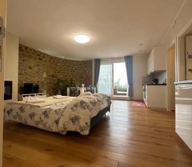 Montalcino Apartamento | Podere Belsogno