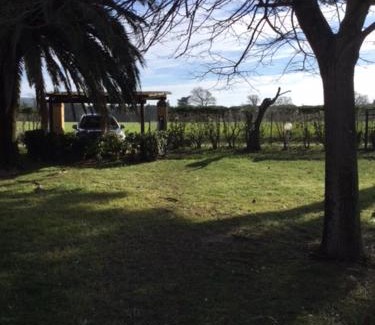 Donoratico Apartamento | Podere il Castellaccio Pianetti