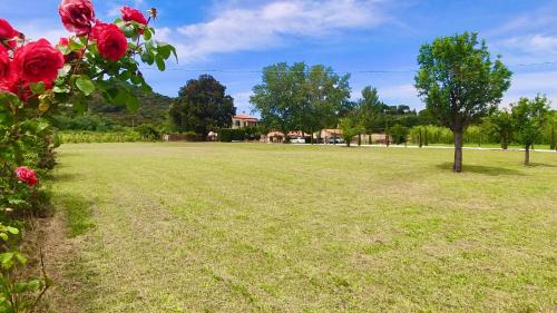 Portoferraio Apartamento | Podere Il Ritorno