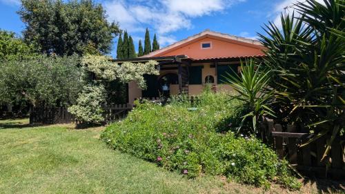 San Vincenzo Casa | Podere Isabella