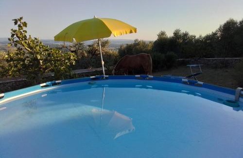Vinci Casa | Poderino La Noce