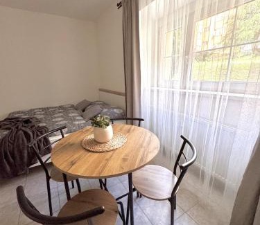 Decin Apartamento | Podzámčí - útulný byt na nábřeží pod zámkem