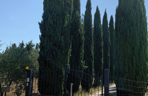 Castellina in Chianti Apartamento | Poggetto in Chianti Classico - Apartment Melo