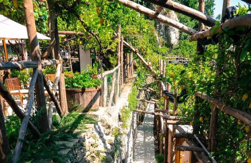 Pontone Casa | Poggio Angelarosa: Lemon Garden Stay&Relax