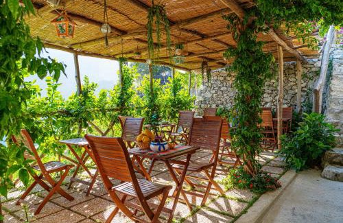 Pontone Casa | Poggio Angelarosa: Lemon Garden Stay&Relax