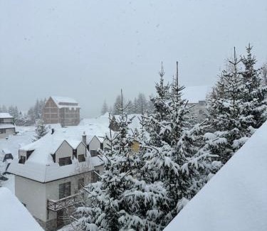 Lisina Apartamento | Pogled Apartman Kopaonik