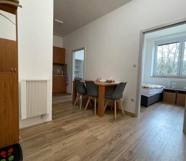 Borovany Apartamento | Pohoda u Žofína