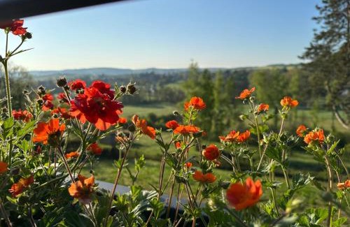 Wellin Casa | Point de Vue Caleste