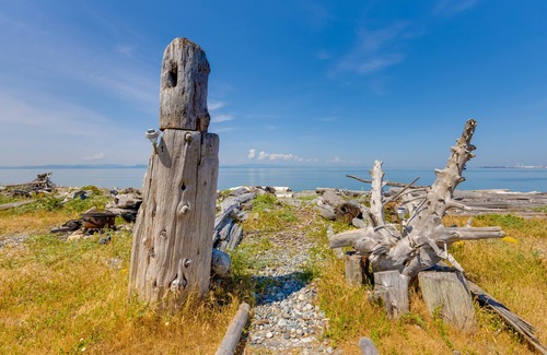 Point Roberts Cabaña | Point Roberts Cottage w/ Ocean Views + Hot Tub!