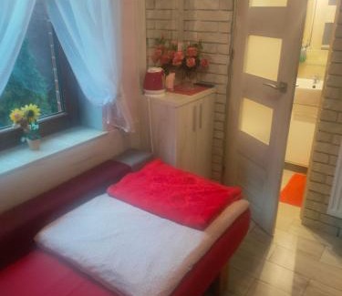 Gniezno Cama Y Desayuno | Pokój dla jednej osoby z łazienką