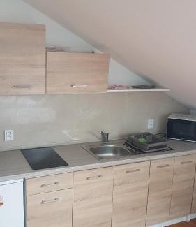 Uhersky Brod Apartamento | pokoj s kuchynì pro tři