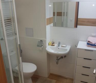 Uhersky Brod Apartamento | pokoj s kuchynì pro tři