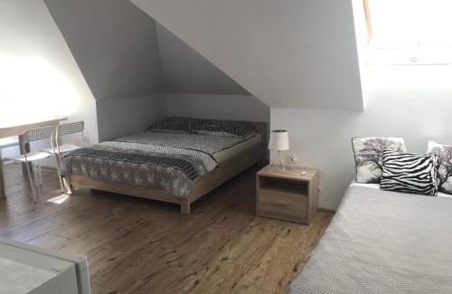 Nowecin Apartamento | Pokoje gościnne u Izy
