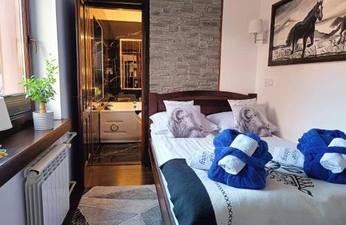 Szlachtowa Casa | Pokoje i apartamenty u Sabiny - DOSTĘP DO JACUZZI TYLKO W WYBRANYCH OPCJACH sprawdź poniżej szczegóły rezerwacji