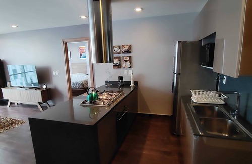 Colonias Granada y Ampliación Apartamento | Polanco Bronze I Spacious 1 BR Apt in Polanco