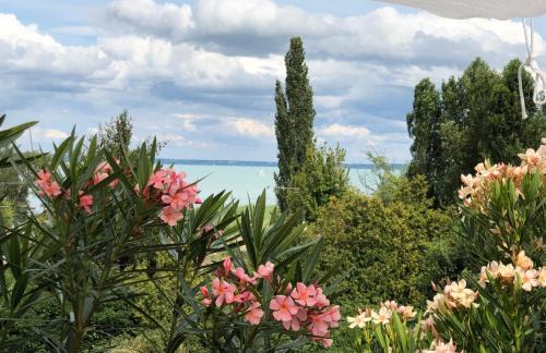 Balatonalmadi Apartamento | Polaris Yacht Apartman