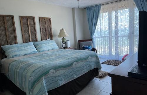 Ponce Inlet Apartamento | Ponce Inlet Florida Breathtaking Oceanfront Penthouse Villa!