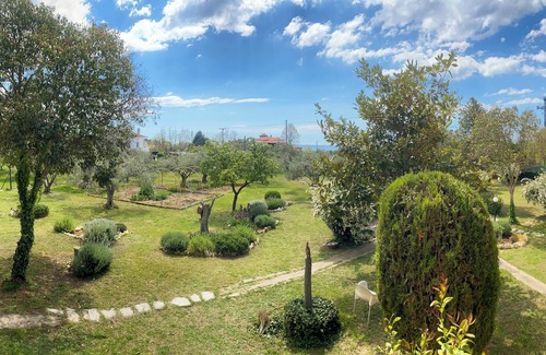 Thermaikos Apartamento | Pond and Pines - Seaside apartments - 1st floor