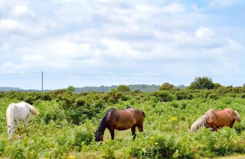 New Forest District Casa | Pond Cottage