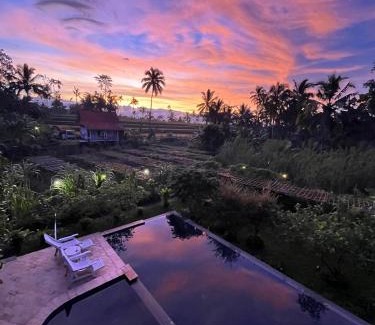 Banyuwangi Casa | Pondok Is Oke Bamboo Lodge