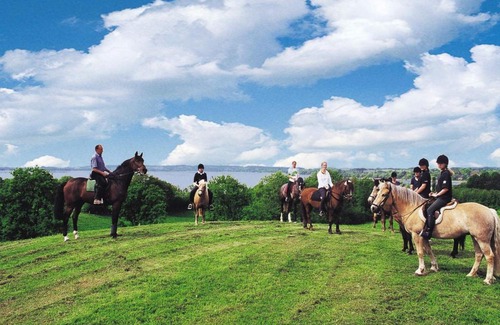 Gross Wittensee Casa | Ponyhof Naeve am Wittensee