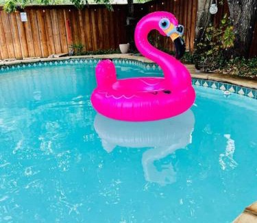 Lewisville Casa | Pool Theater Convenient Location 4bedroom2 Bath