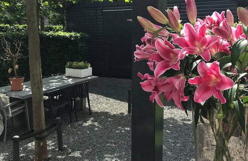 Municipality of Oostzaan Villa | VILLA PISCINA CERCA DE AMSTERDAM 3 dormitorios Aparcamiento gratuito