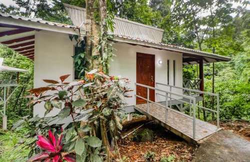 Tres Ríos Hotel | Pools Bungalow at Toucan