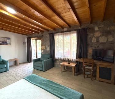 Ayvalik Apartamento | Poolside Family Stone Studio and Breakfast Included