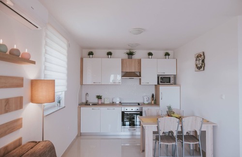 Zrce Apartamento | Poolside Hideout Apartments