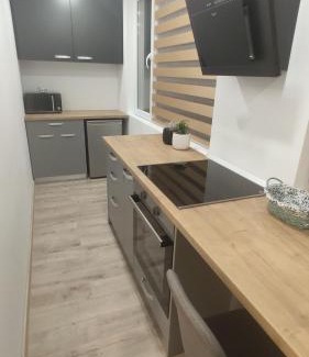 Baia Mare Apartamento | Popasu din oras