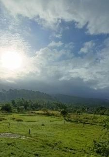 South Andaman District Cama Y Desayuno | Port Begusarai